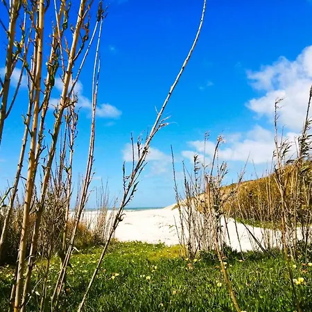 Affittacamere My Holidays In D'el Rey 4*