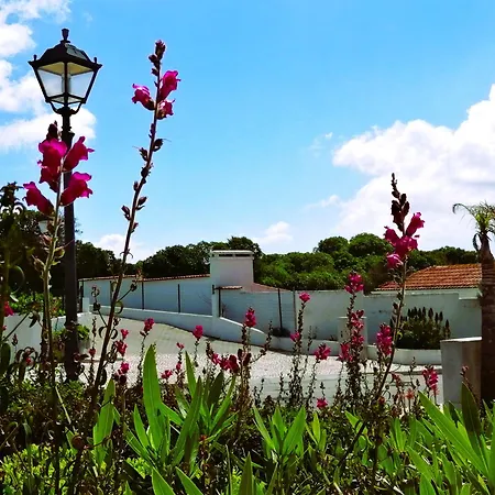 Affittacamere My Holidays In D'el Rey 4*