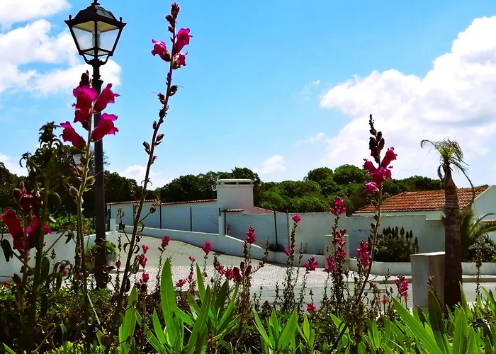 Konukevi My Holidays In D'el Rey 4*